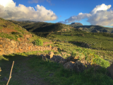 Ostrovy La Gomera a La Palma (Španělsko, Petra Tichá)