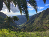 Ostrovy La Gomera a La Palma (Španělsko, Petra Tichá)