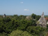 Tikal (Guatemala, Luděk Felcan)